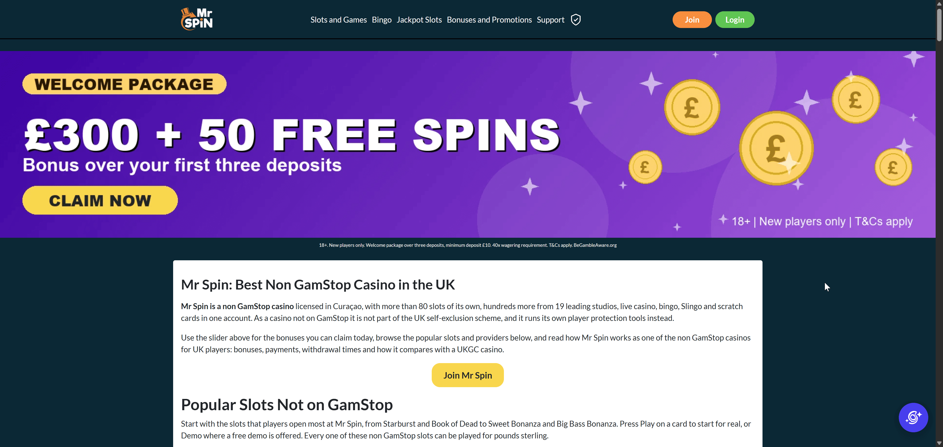 Screenshot of the Mr Spin website
